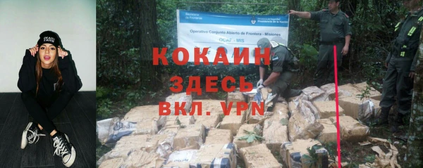 Альфа ПВП Алзамай