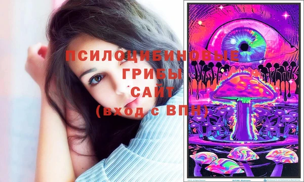 Альфа ПВП Алзамай