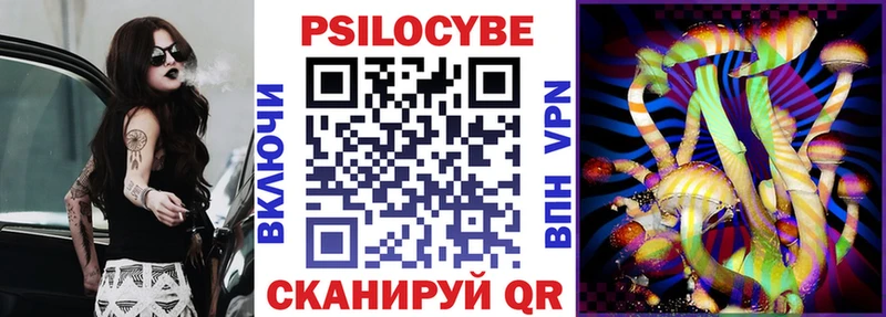 Галлюциногенные грибы Psilocybe  Лесосибирск 