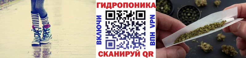 Бошки Шишки MAZAR Лесосибирск